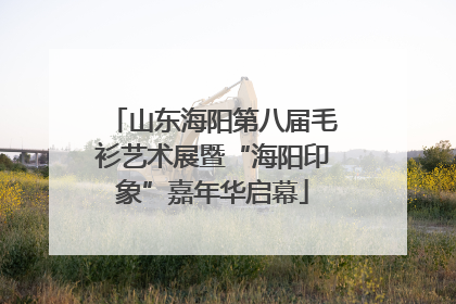 山东海阳第八届毛衫艺术展暨“海阳印象”嘉年华启幕