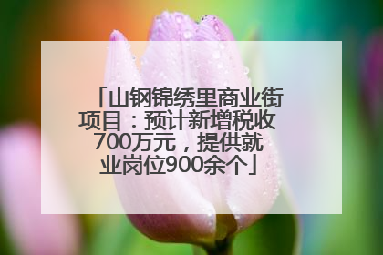 山钢锦绣里商业街项目：预计新增税收700万元，提供就业岗位900余个