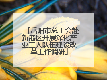 岳阳市总工会赴新港区开展深化产业工人队伍建设改革工作调研