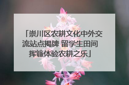 崇川区农耕文化中外交流站点揭牌 留学生田间挥镰体验农耕之乐