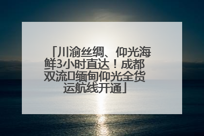 川渝丝绸、仰光海鲜3小时直达！成都双流⇌缅甸仰光全货运航线开通