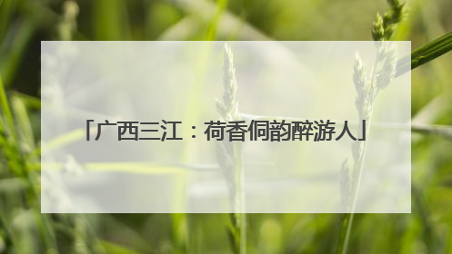 广西三江：荷香侗韵醉游人