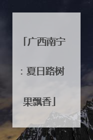 广西南宁：夏日路树果飘香