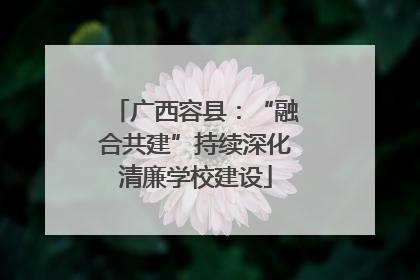 广西容县：“融合共建”持续深化清廉学校建设