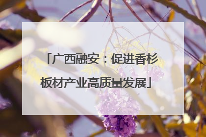 广西融安：促进香杉板材产业高质量发展
