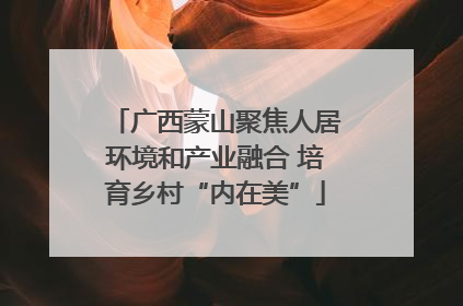 广西蒙山聚焦人居环境和产业融合 培育乡村“内在美”