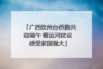 广西钦州台侨胞共迎端午 看运河建设感受家国强大