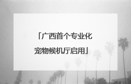 广西首个专业化宠物候机厅启用