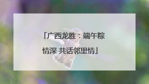 广西龙胜：端午粽情深 共话邻里情