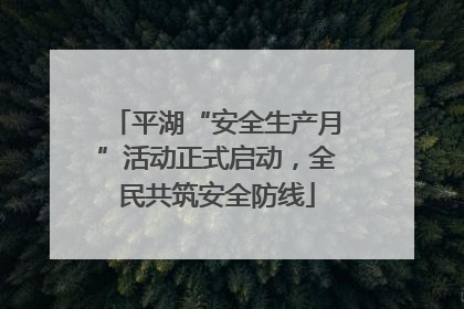 平湖“安全生产月”活动正式启动，全民共筑安全防线