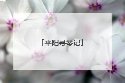 平阳寻琴记