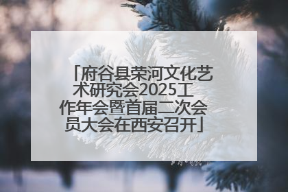 府谷县荣河文化艺术研究会2025工作年会暨首届二次会员大会在西安召开