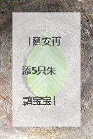 延安再添5只朱鹮宝宝