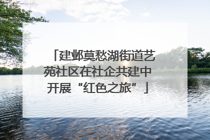 建邺莫愁湖街道艺苑社区在社企共建中开展“红色之旅”
