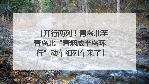开行两列！青岛北至青岛北“青烟威半岛环行”动车组列车来了