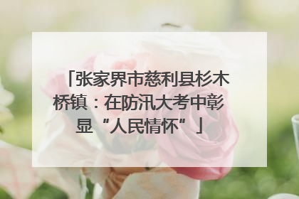 张家界市慈利县杉木桥镇：在防汛大考中彰显“人民情怀”