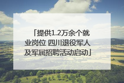 提供1.2万余个就业岗位 四川退役军人及军属招聘活动启动