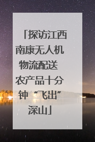 探访江西南康无人机物流配送 农产品十分钟“飞出”深山
