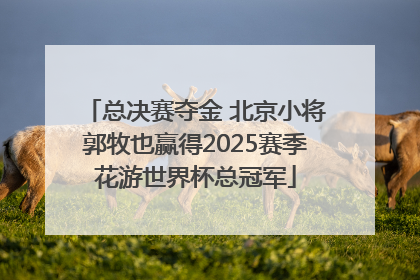 总决赛夺金 北京小将郭牧也赢得2025赛季花游世界杯总冠军