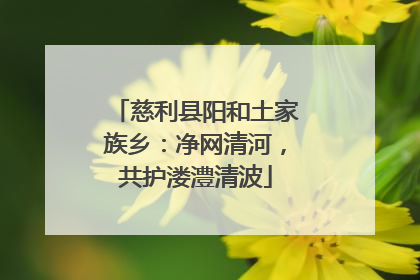 慈利县阳和土家族乡：净网清河，共护溇澧清波