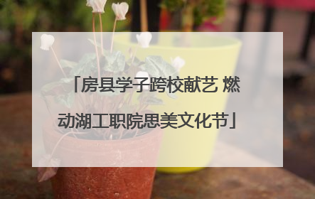 房县学子跨校献艺 燃动湖工职院思美文化节