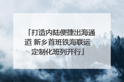 打造内陆便捷出海通道 新乡首班铁海联运定制化班列开行
