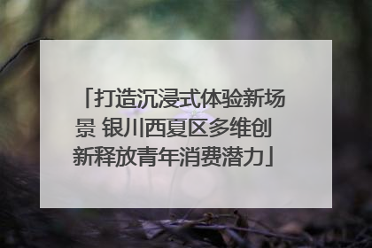打造沉浸式体验新场景 银川西夏区多维创新释放青年消费潜力