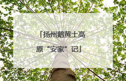 扬州鹅黄土高原“安家”记
