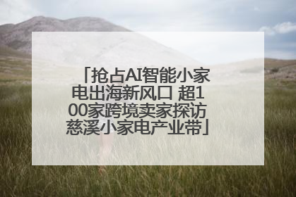 抢占AI智能小家电出海新风口 超100家跨境卖家探访慈溪小家电产业带