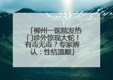 柳州一医院发热门诊外惊现大蛇！有毒无毒？专家辨认：性情温顺