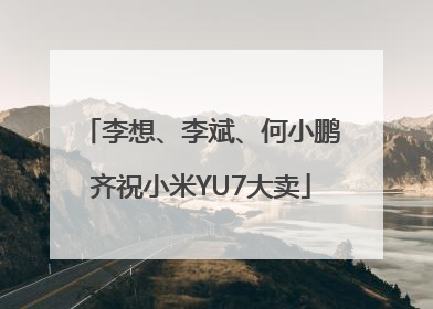 李想、李斌、何小鹏齐祝小米YU7大卖