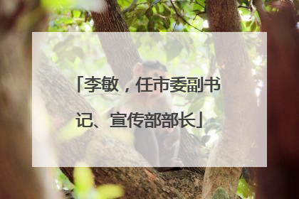 李敏，任市委副书记、宣传部部长