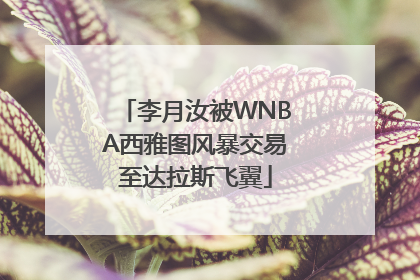 李月汝被WNBA西雅图风暴交易至达拉斯飞翼