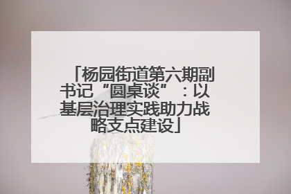 杨园街道第六期副书记“圆桌谈”：以基层治理实践助力战略支点建设