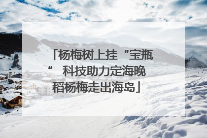 杨梅树上挂“宝瓶” 科技助力定海晚稻杨梅走出海岛