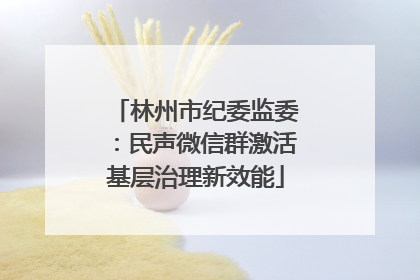林州市纪委监委：民声微信群激活基层治理新效能