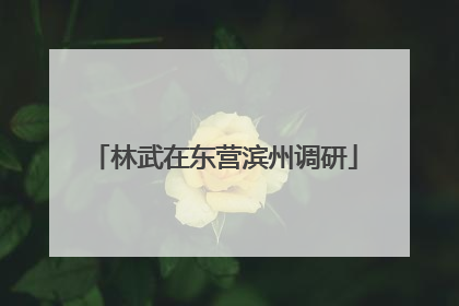 林武在东营滨州调研