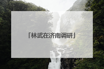 林武在济南调研