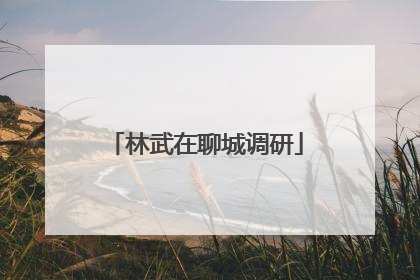 林武在聊城调研