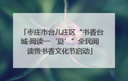枣庄市台儿庄区“书香台城·阅读一‘夏’”全民阅读暨书香文化节启动