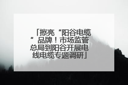 擦亮“阳谷电缆”品牌！市场监管总局到阳谷开展电线电缆专题调研