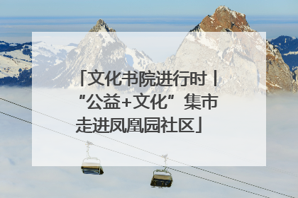 文化书院进行时丨“公益+文化”集市走进凤凰园社区