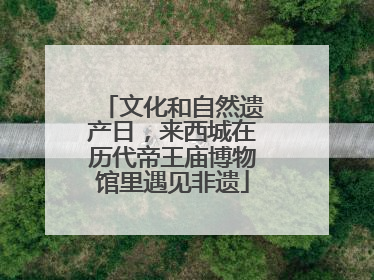 文化和自然遗产日，来西城在历代帝王庙博物馆里遇见非遗