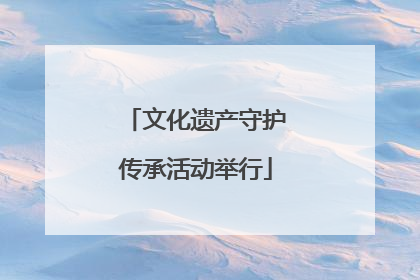 文化遗产守护传承活动举行