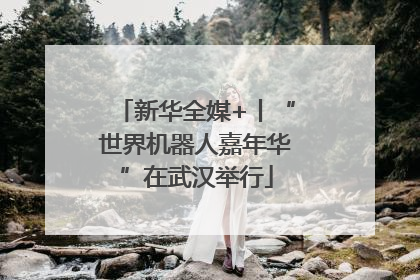 新华全媒+丨“世界机器人嘉年华”在武汉举行