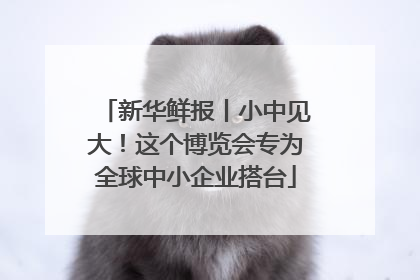 新华鲜报丨小中见大！这个博览会专为全球中小企业搭台