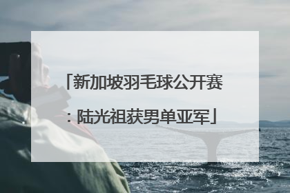 新加坡羽毛球公开赛：陆光祖获男单亚军