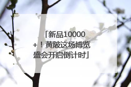 新品10000+！黄陂这场博览盛会开启倒计时