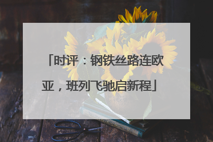 时评：钢铁丝路连欧亚，班列飞驰启新程