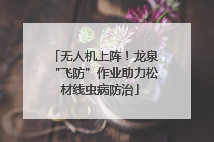 无人机上阵！龙泉“飞防”作业助力松材线虫病防治